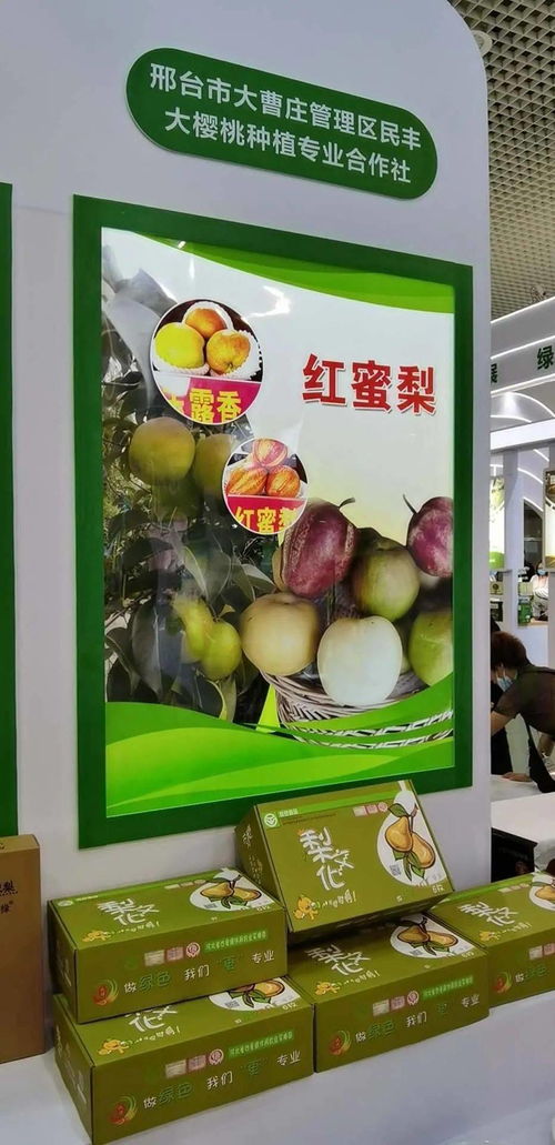 寧晉綠色農產品在廈門綠博會廣受歡迎，水產品零售表現搶眼